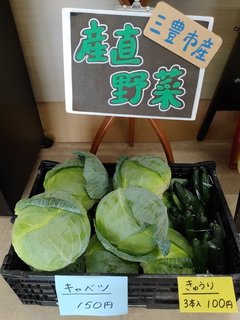 野菜 (2).jpg